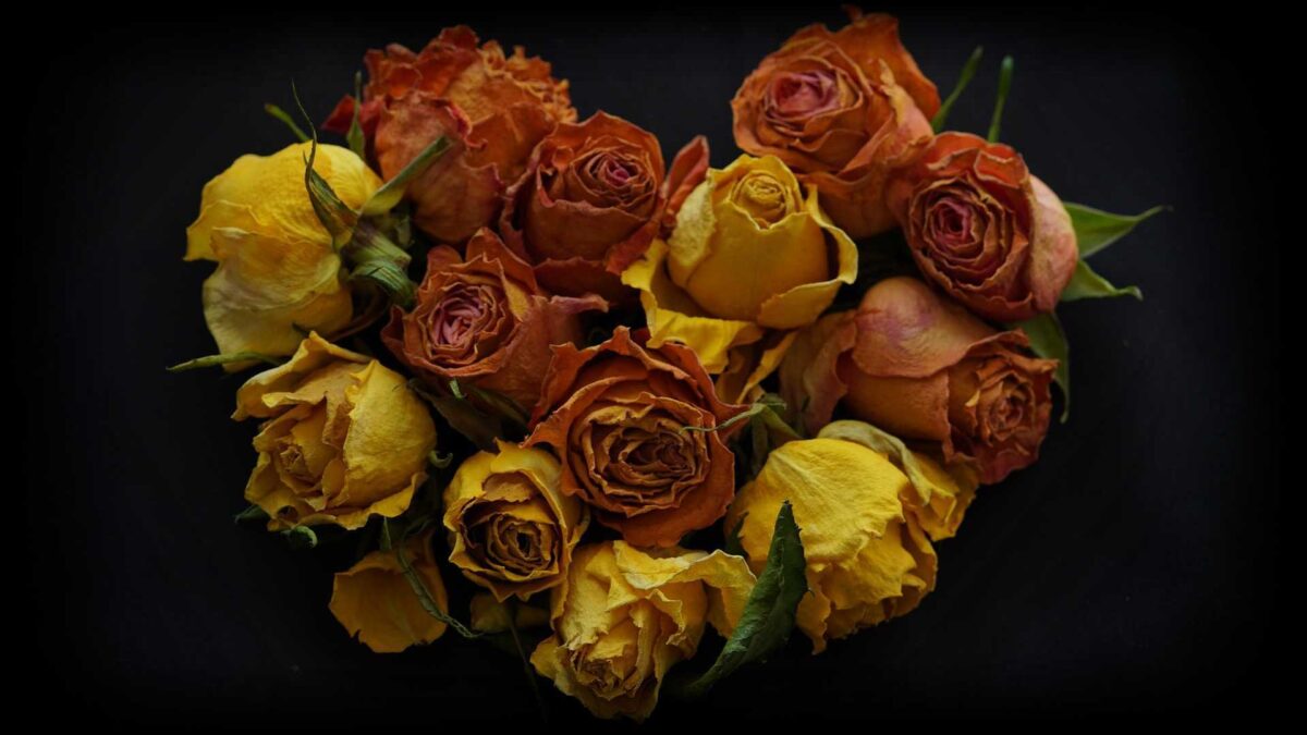 Kwiaty ułożone w serce